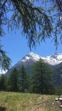Haus Valaisia - Randa Bei Zermatt Exterior foto